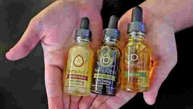 CBD Oil Absolute Scientific Heiskell 
      TN 37754